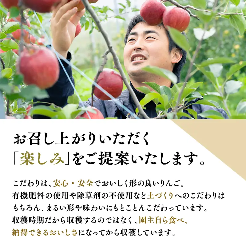りんご 贈答用 ぐんま名月 約3kg [hi-0005-013]