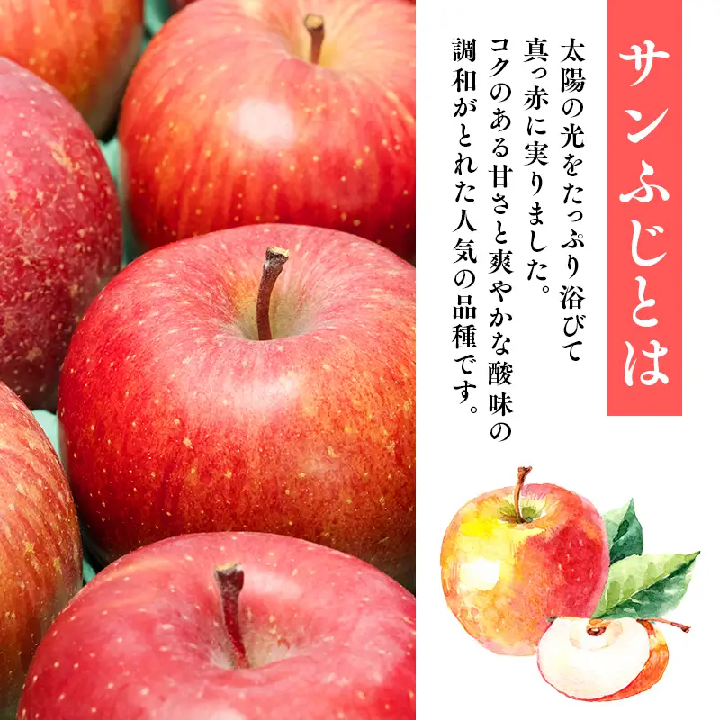 りんご 贈答用 サンふじ 約3kg 青森県平川市産 [hi-0005-015]