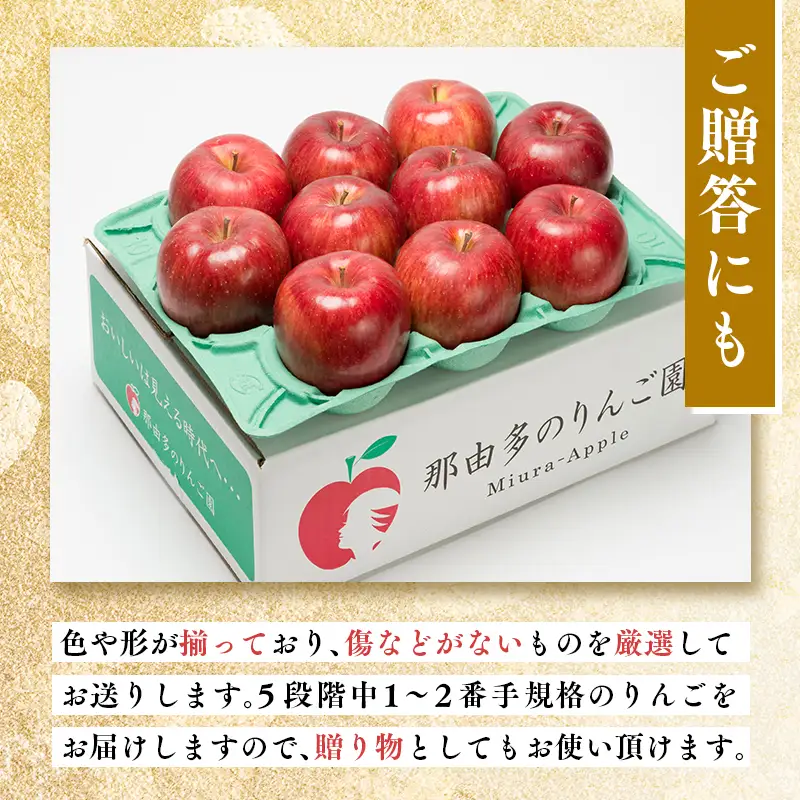 りんご 贈答用 シナノスイート 約3kg [hi-0005-019]