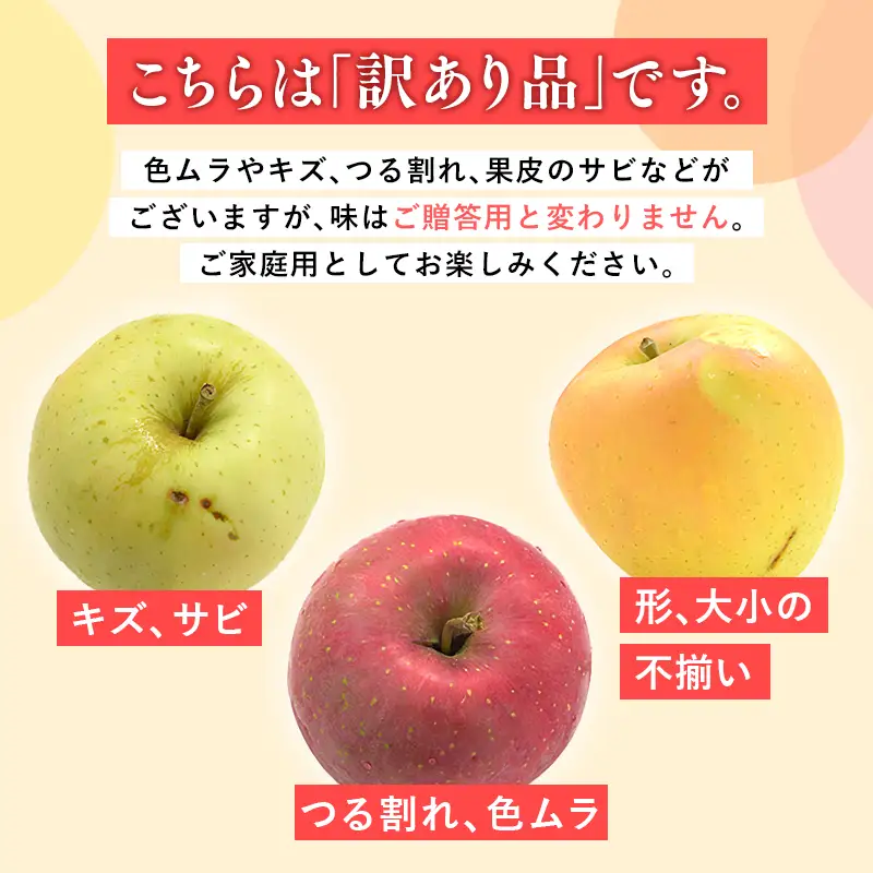 りんご 家庭用  サンふじ 約5kg りんご