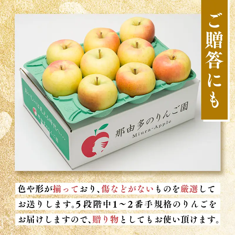 りんご 贈答用  ぐんま名月 約3kg　[hi-0005-036]