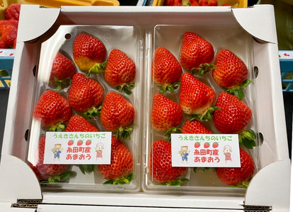 福岡県産 あまおう 2パック（合計500g以上） 【2027年1月上旬～3月下旬発送】 苺 あまおう フルーツ 果実 国産 贈り物 福岡産 糸田町