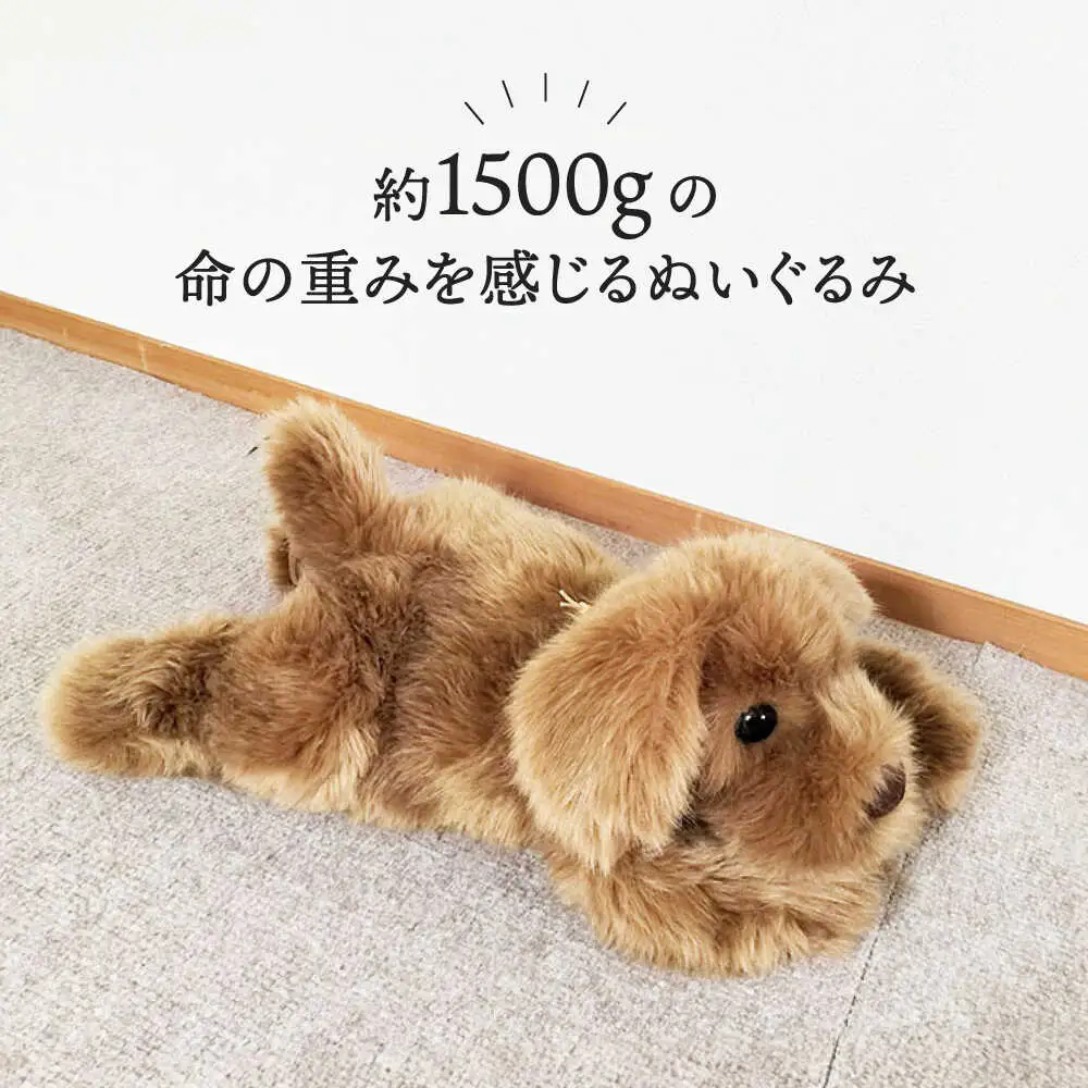 パトランミニ・ブラウン 糸島市 / 科学工房未来 犬 ペット ぬいぐるみ [AYI006] いぬ 動物