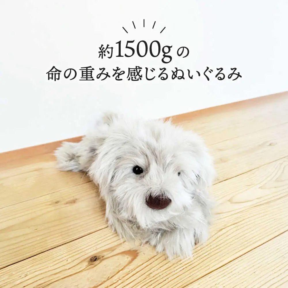 パトランミニ・グレージュ 糸島市 / 科学工房未来 パトラン ぬいぐるみ [AYI008] いぬ 動物