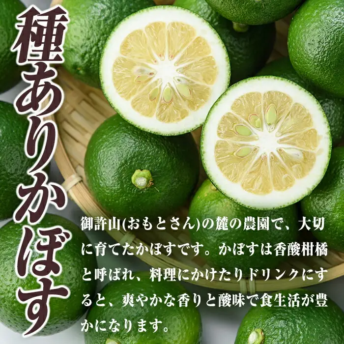 ＜先行予約受付中！2026年8月下旬以降順次発送予定＞おもとの丘のかぼす(約4kg)かんきつ 柑橘 期間限定 【111300201】【未来農林】