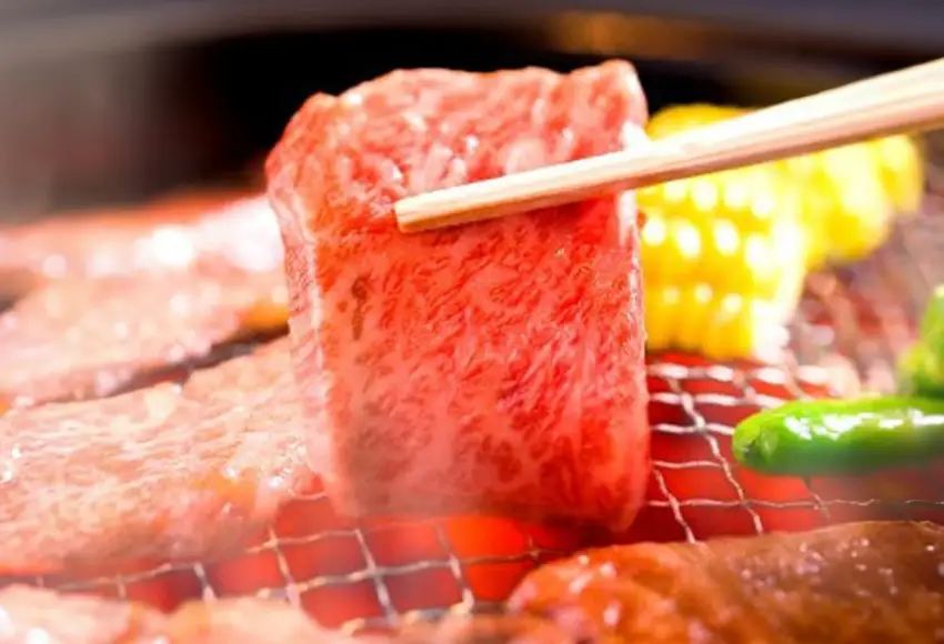 和牛セレブの神戸牛6種の希少部位焼肉食べ比べ400g / 神戸牛 焼肉 食べ比べ 6種 肩ロース まるかわ しんしん カルビ トモ三角 カメノコウ 焼肉用 牛肉 お肉 切り落とし 肉 黒毛和牛 神戸ビーフ【お肉ギフト専門店 和牛セレブ】