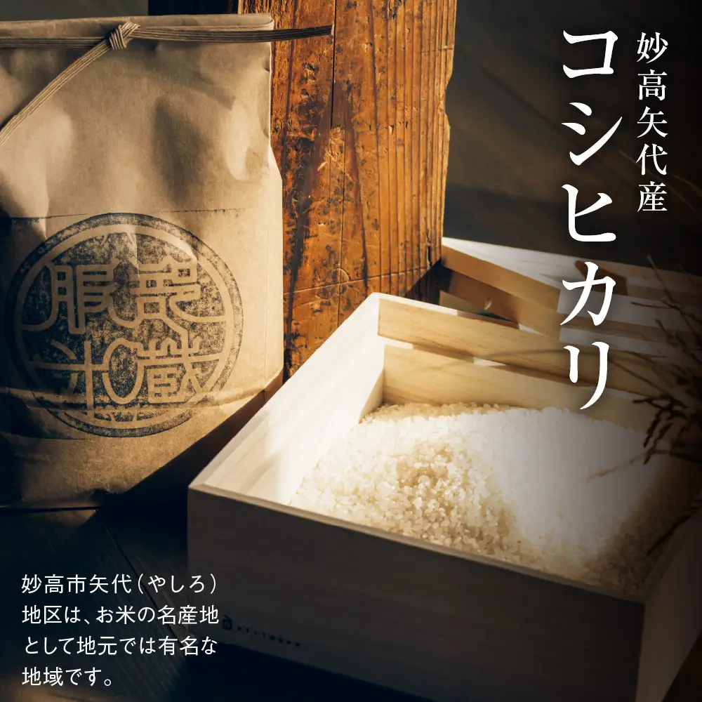 先行予約【令和8年産】【定期便】服部米蔵の妙高矢代産コシヒカリ 10kg×3回 計30kg
