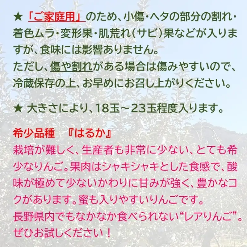 長野県産 りんご 『はるか』  約5kg（18～23玉入）(家庭用)〈2026年11・12月出荷／沖縄・離島は配送不可〉信州 果物 旬彩 期間限定　先行予約