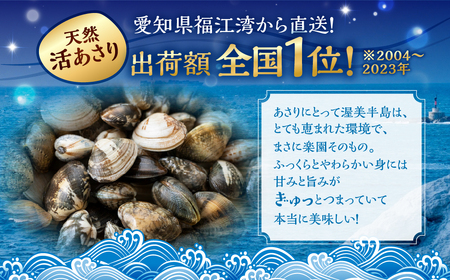 渥美産 天然旨あさり 特大 1kg あさり