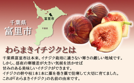 【8月下旬より順次発送】ふるやファーム自慢の絶品「わらまきイチジク 1kg（12～15個）」 TMV001