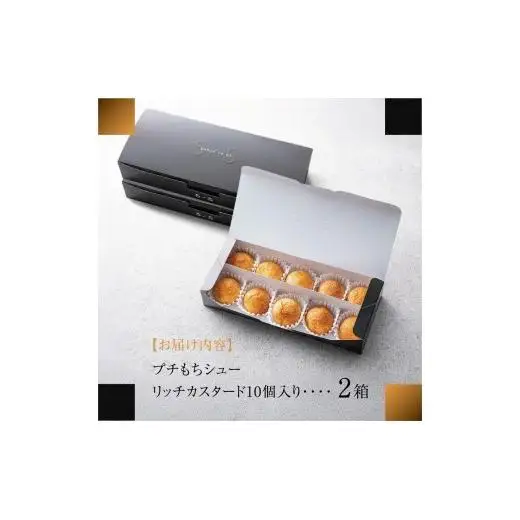 【一口の幸せ】プチもちシュー リッチカスタード 2箱  gobunnogo 5/5