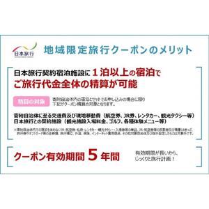 静岡県静岡市　日本旅行　地域限定旅行クーポン60,000円分