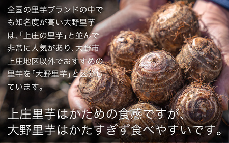 【先行予約】大野の里芋とたんちょう餅の詰め合わせA（里芋3kg+丸餅8個入り×1袋）【2026年11月30日より順次発送】[A-001069]