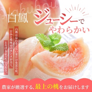 桃 白桃  約2kg 6～8個 【秀品】※2027年6月20日～7月30日発送予定【BK012-kgr009B】