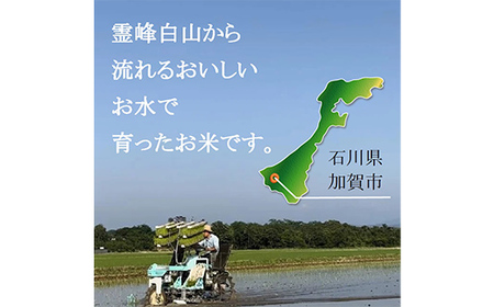 自然栽培米（真空）白米300g×4種　旭・初霜・農林22号・コシヒカリ 真空米 小分け 一人暮らし F6P-1937