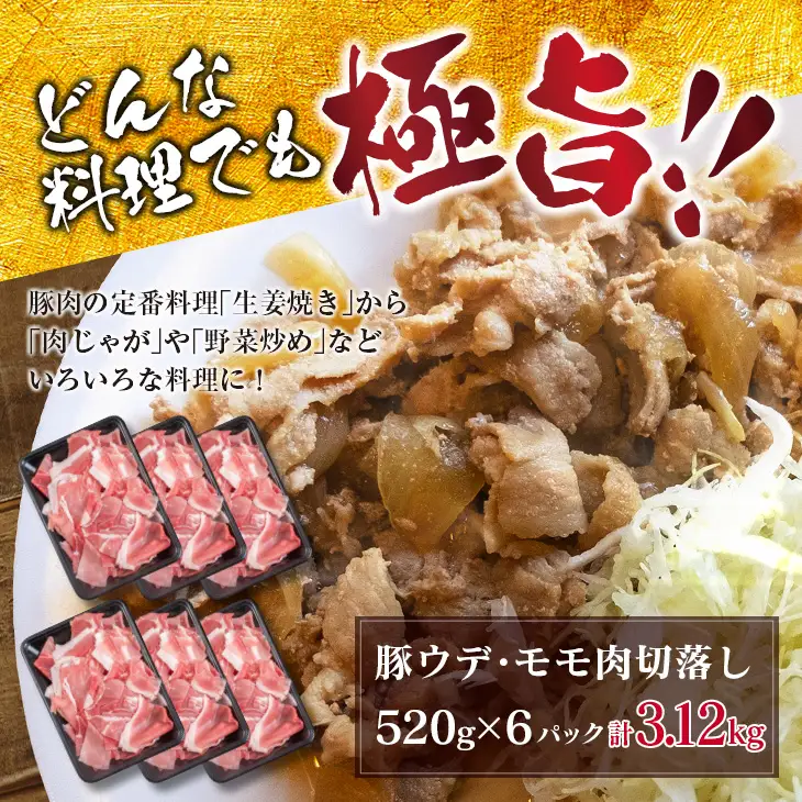 豚肉 豚ウデ 豚モモ 切り落とし セット 計3.12kg 国産 ポーク 食品 おかず 切落し スライス肉 万能食材 大容量 焼肉 生姜焼き カレー 肉じゃが 炒め物 お弁当 おつまみ 晩ご飯 うで もも 人気 冷凍 お土産 おすそ分け お取り寄せ 宮崎県 日南市 送料無料_C144-25