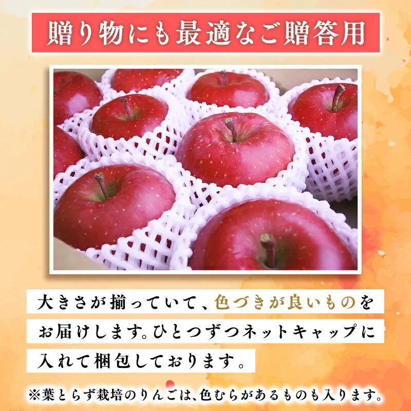 りんご 贈答用 おいらせ5kg [hi-0053-039]