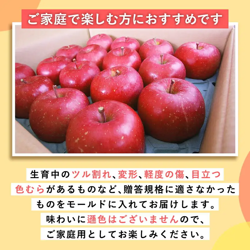 りんご 家庭用 おいらせ10kg  [hi-0053-043]