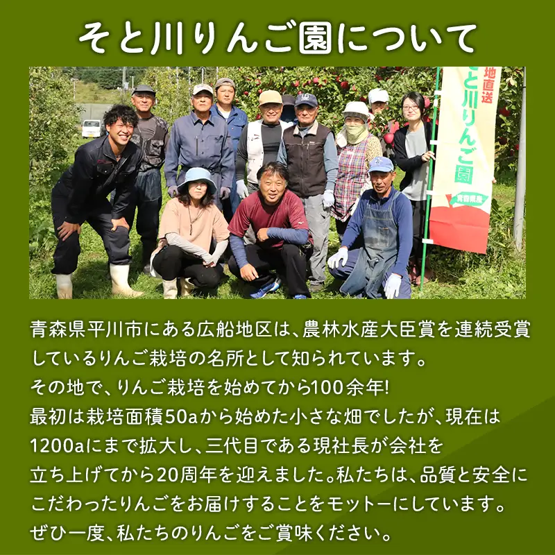 りんご 家庭用葉とらずサンふじ5ｋｇ りんご