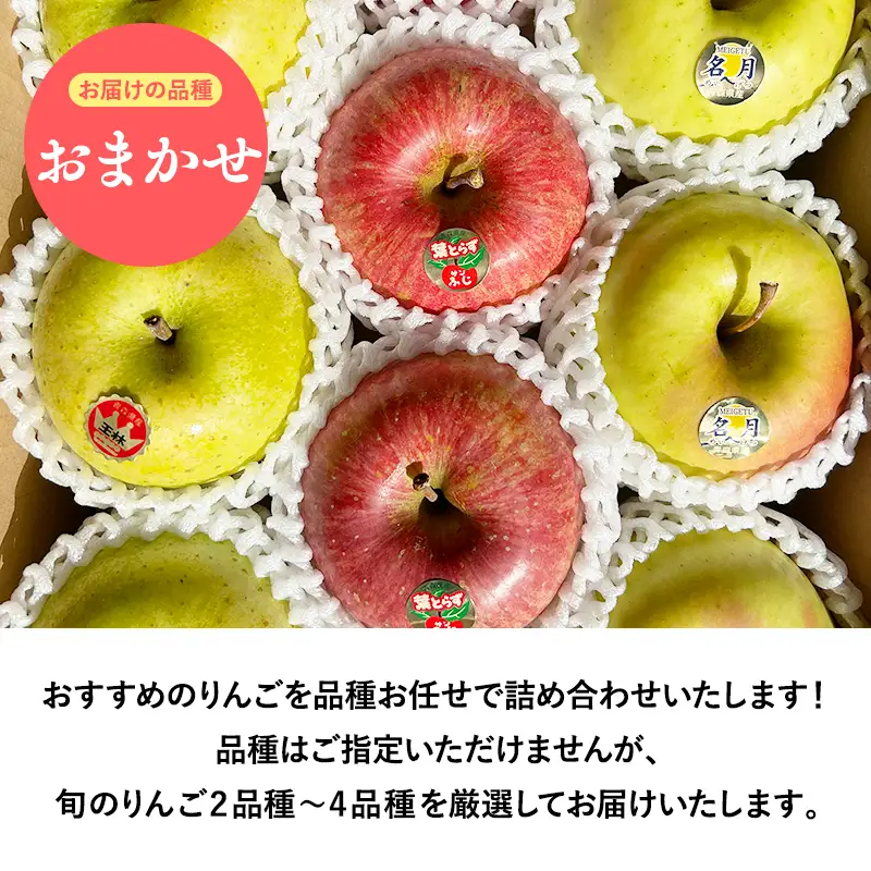 【ふるなびWEEK対象】旬のりんご詰め合わせ 家庭用3㎏ [hi-0053-077]