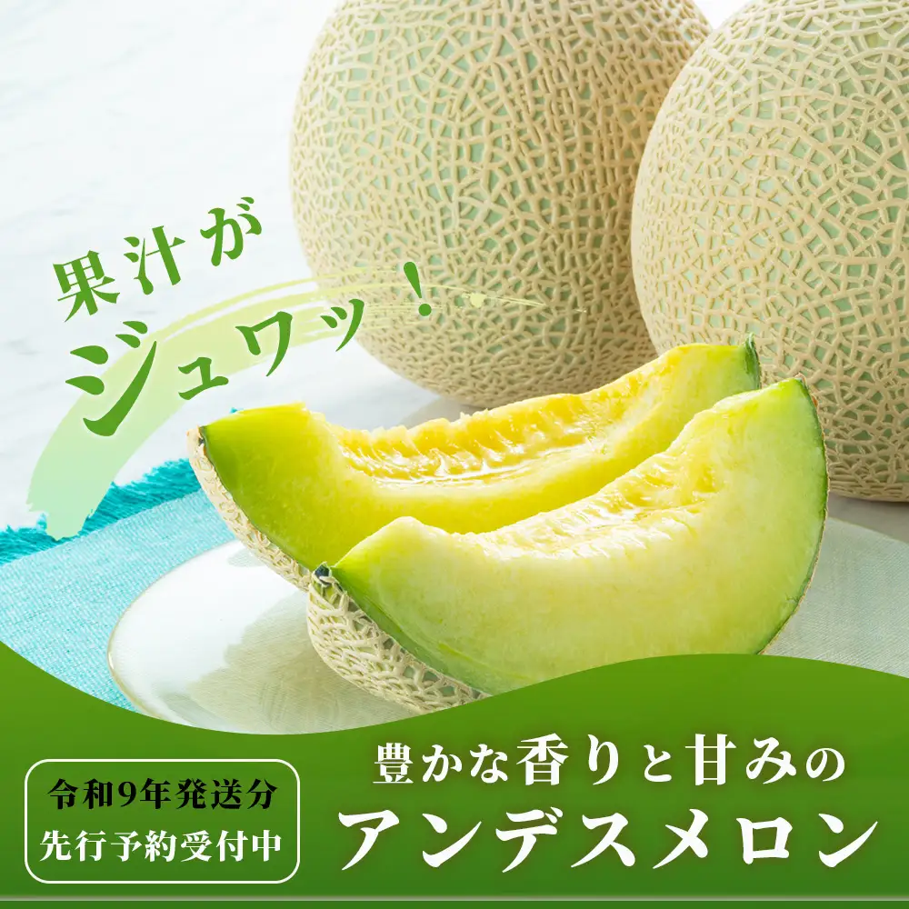 《2027年発送分 先行予約》 アンデスメロン 4玉～6玉 合計約5kg メロン 果物 フルーツ 熊本県 多良木町 108-0501