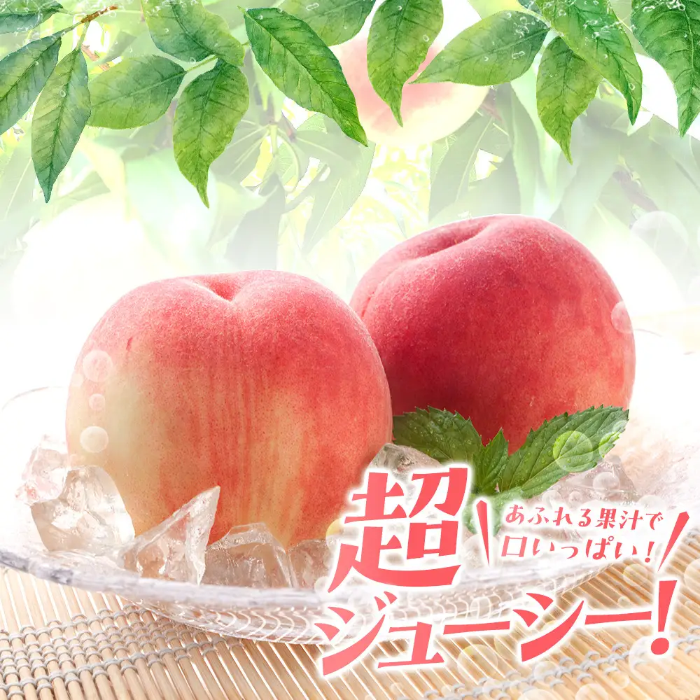 先行販売！［モモ］ 白鳳　桃の王様！約2kg6～8個 ［2027年6月下旬頃より順次発送］［秀品］こだわり農家厳選 ［KG12］