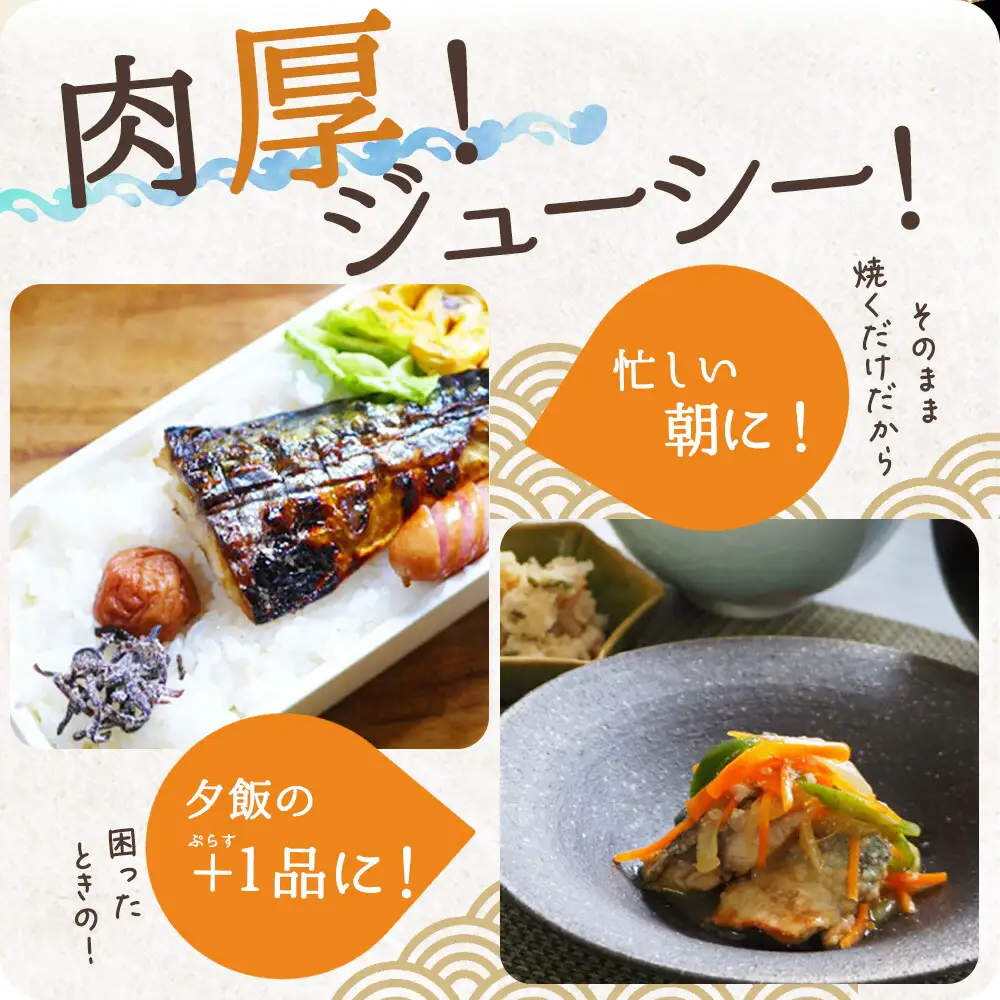 【全3回】大容量！ ご家庭用 塩さばフィレの定期便 / さば サバ 鯖 フィレ 切り身 切身 魚 海鮮 焼き魚 おかず 定期便【tkb353】