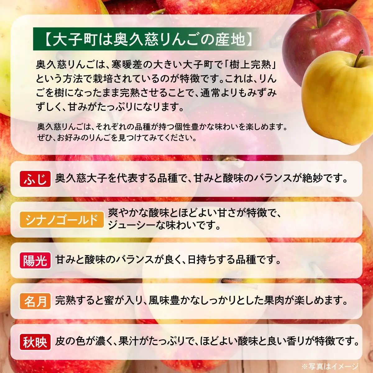 【先行予約】樹上完熟の奥久慈りんご詰め合わせ　園主おまかせ約5kg（12～23玉）【2026年9月下旬頃順次発送開始予定】斉藤りんご園第2直売所｜茨城県 大子町 林檎 果物 フルーツ 旬（CG002-1）