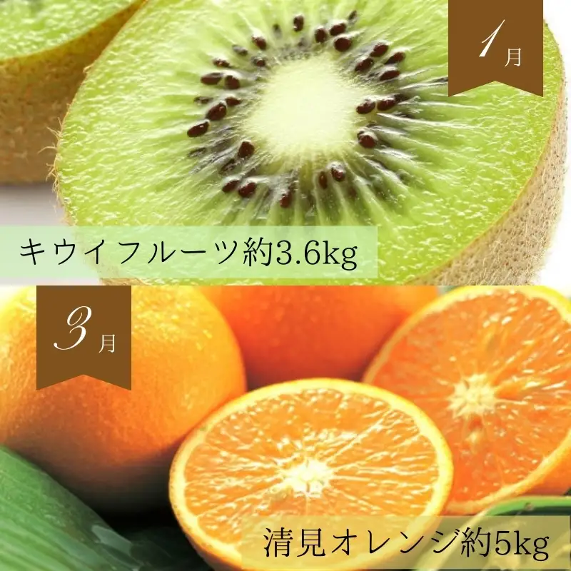 【全6回定期便】奇数月にお届け♪旬の野菜とフルーツ定期便！キウイ・清見オレンジ・アイコトマト・桃・ピオーネ・富有柿【tkb357】