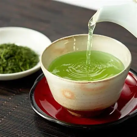 日本茶AWARD審査員奨励賞! 世界農業遺産認定　茶草場農法の掛川かぶせ茶【配送不可地域：離島・沖縄県】【1277565】