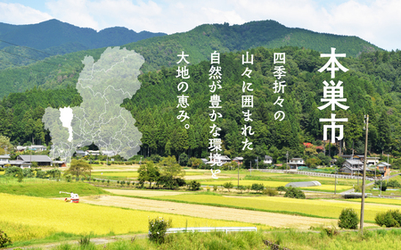 季節の野菜セットA 6～8品目 お届け回数 12回 お届け 定期便  12ヶ月 品目おまかせ BBQ 春 夏 秋 冬 野菜 料理 自宅用 岐阜県産 本巣市 新鮮 やさい 数量限定 冷蔵 道の駅 織部の里 [mt1617] 