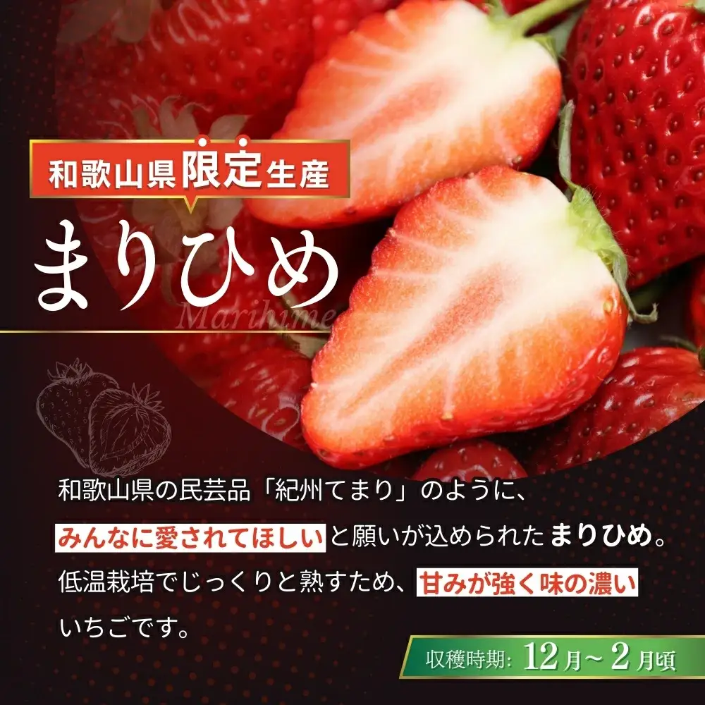 いちご まりひめ 【ご家庭用】 約300g×4パック M～3Lサイズ （サイズ指定不可）【tcs003】
