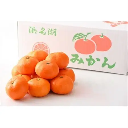 【2027年1月発送】浜名湖の「青島みかん」5kg_果物・フルーツ みかん  ミカン 蜜柑_【1537448】