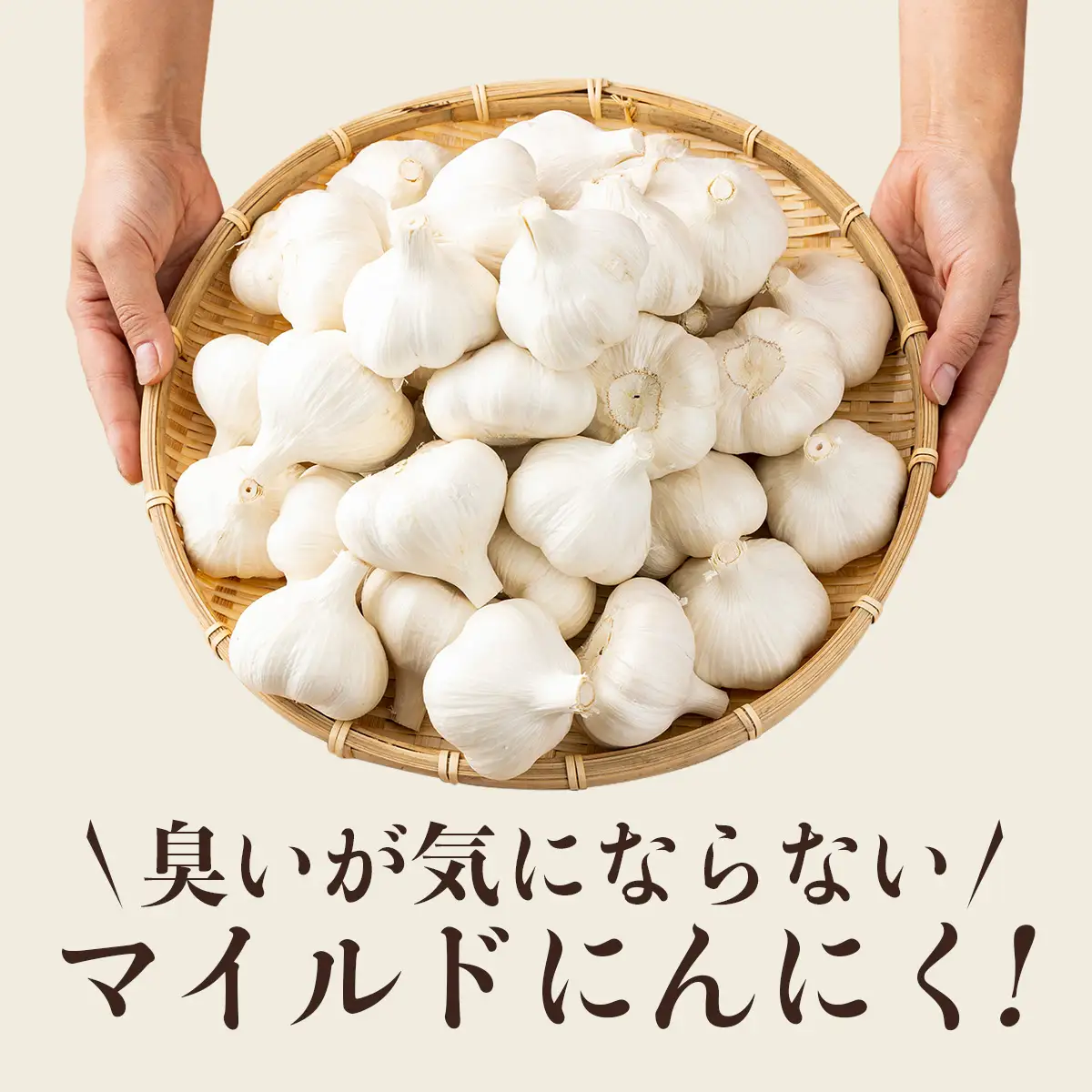 マイルドにんにく A級品 Lサイズ3kg【国産 にんにく A級品 Lサイズ 新鮮 野菜 長期保存 健康 贈り物 ギフト 東北 青森県 七戸町 送料無料】【02402-0318】