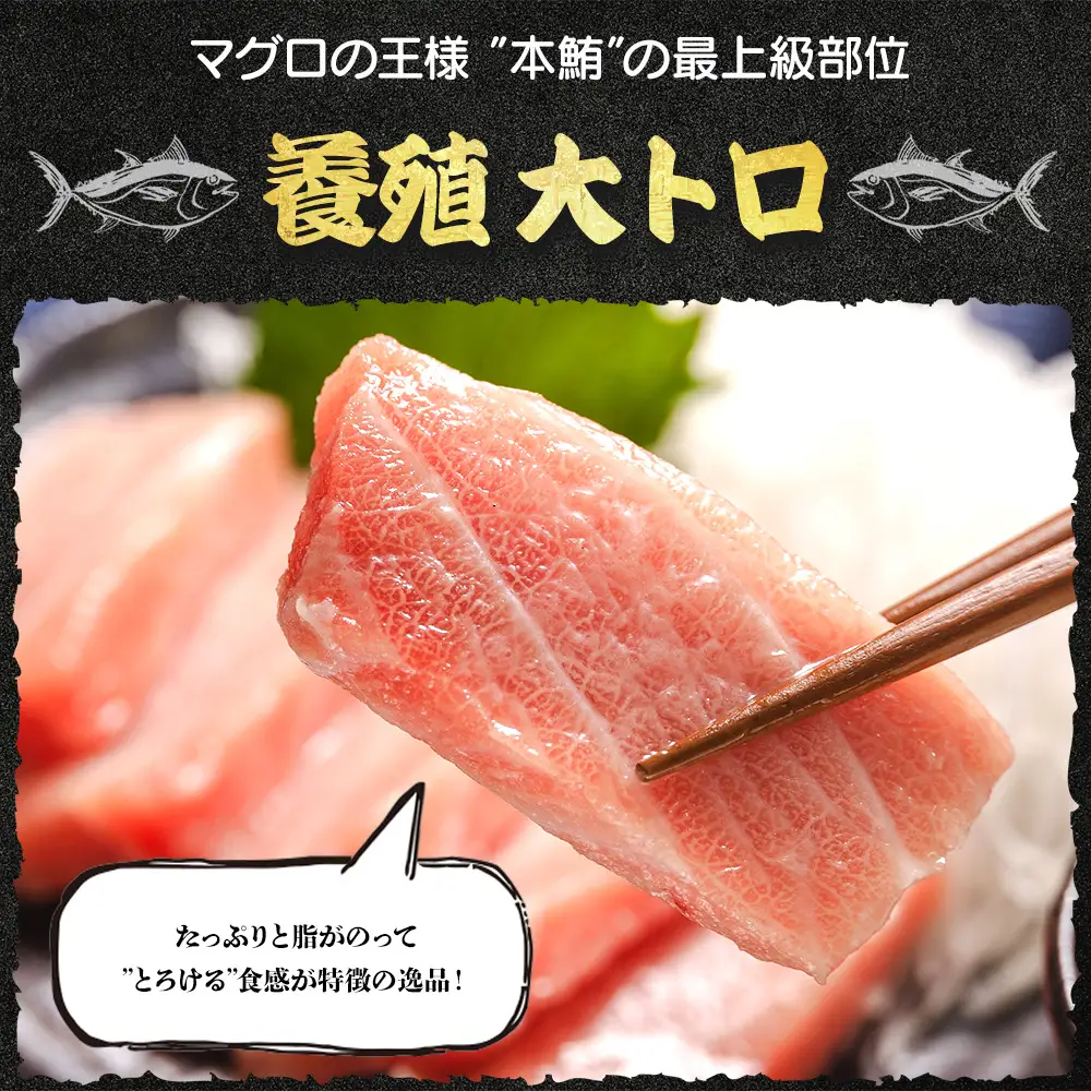 【大トロ】本マグロ  2冊 計約500g 大トロ oo-0018