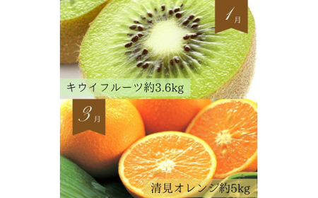 定期便 【全6回定期便】フルーツ定期便！ キウイ 清見オレンジ アイコトマト 桃 ピオーネ 富有柿 【tkb357】