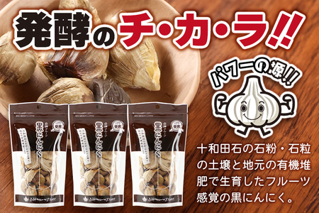 白神フルーツ黒にんにくセットＣ（バラ粒 100g×3袋）秋田県産 熟成 小分け 詰合せ 詰め合わせ 健康 美容 黒ニンニク