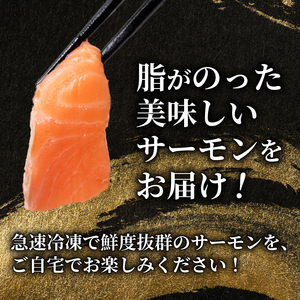 訳あり サーモン[800g] 冷凍 鮭 しゃけ さーもん EY