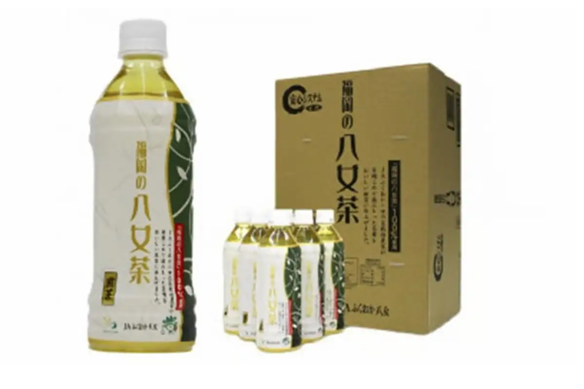 八女茶 煎茶ペットボトル 500ml×24本【A9-026】