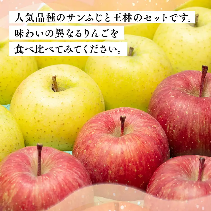 12月発送 サンふじ・王林 詰合せ 約5kg [hi-0001-007]