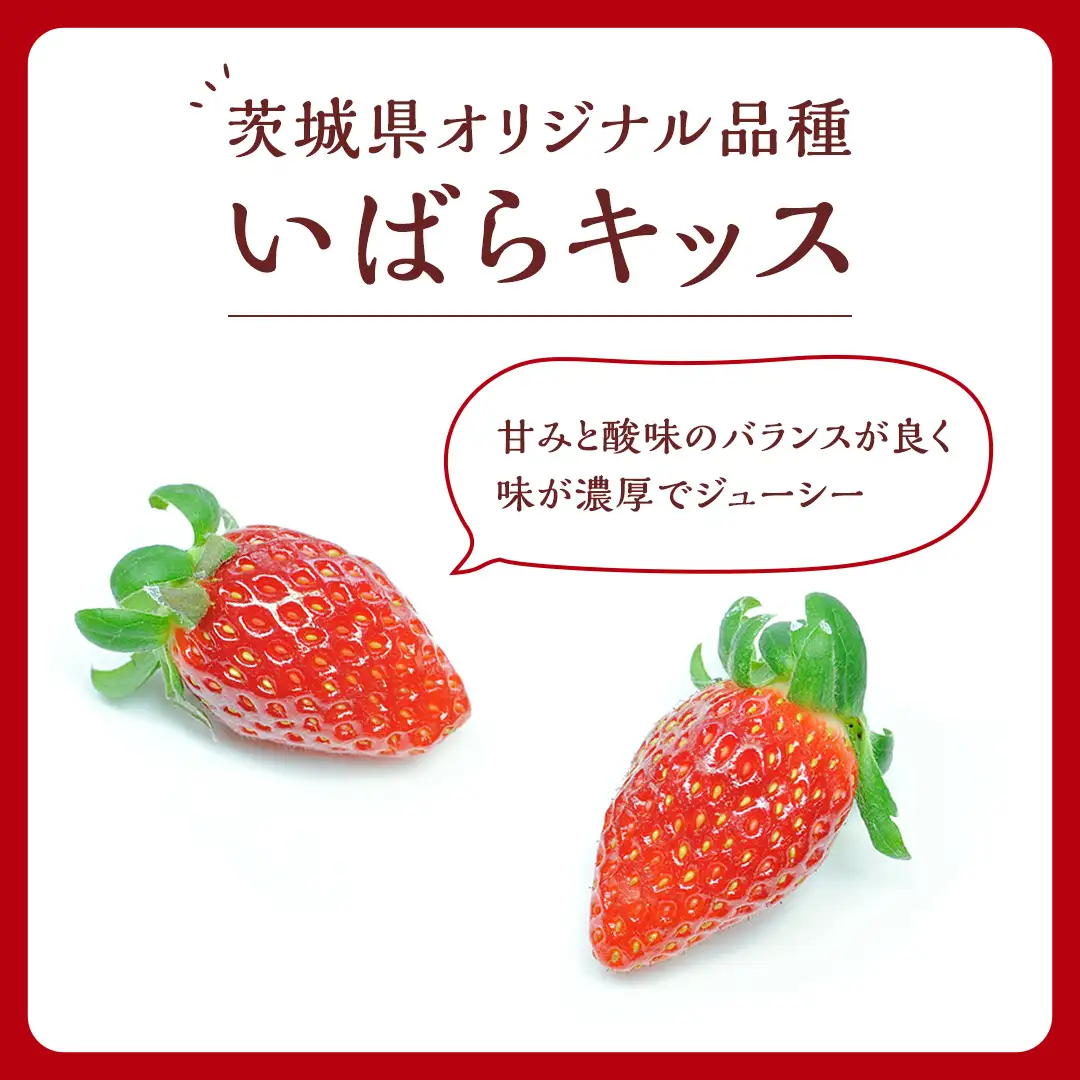 いちご いばらキッス 完熟 約1040g 茨城いちごグランプリ受賞農園