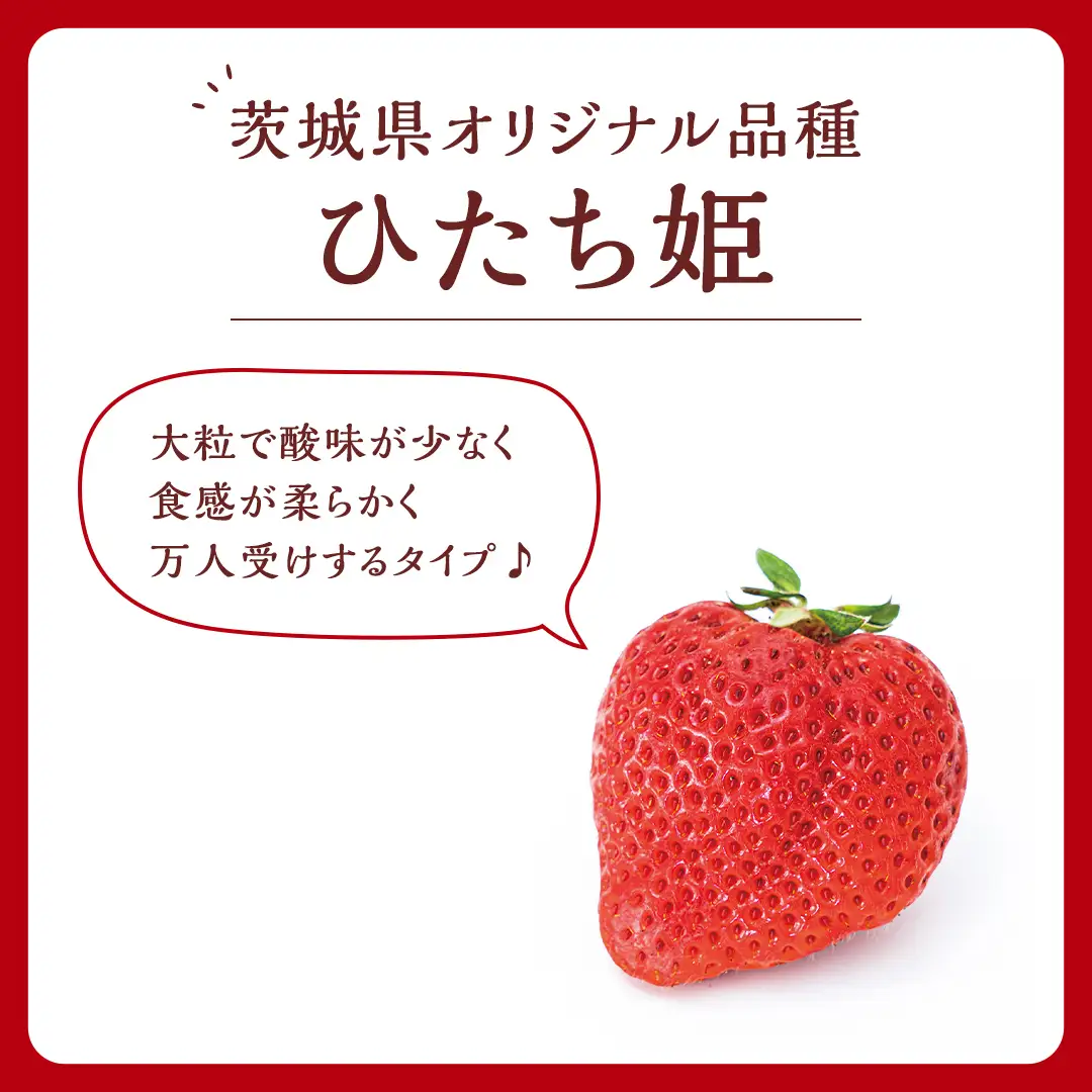 いちご ひたち姫 完熟 約1040g 茨城いちごグランプリ受賞農園
