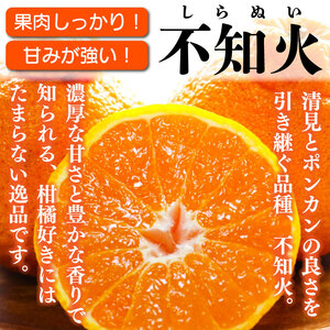 訳あり 不知火 約3kg L～2L 不知火 不知火 柑橘 みかん