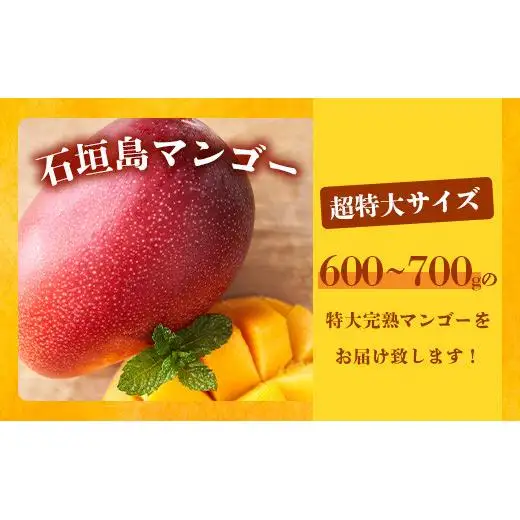 最高糖度20度！？ まるで恐竜の卵！？完熟超特大マンゴー1個入り《2027年6月中旬順次発送》