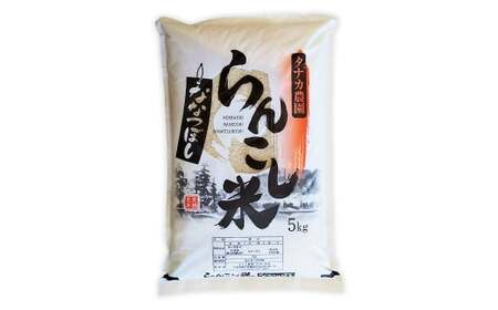 【3ヶ月定期便】 らんこし米 （ななつぼし） 5kg （タナカ農園）【2024年10月下旬より順次発送】 米 こめ コメ お米 白米 精米 ご飯 ごはん