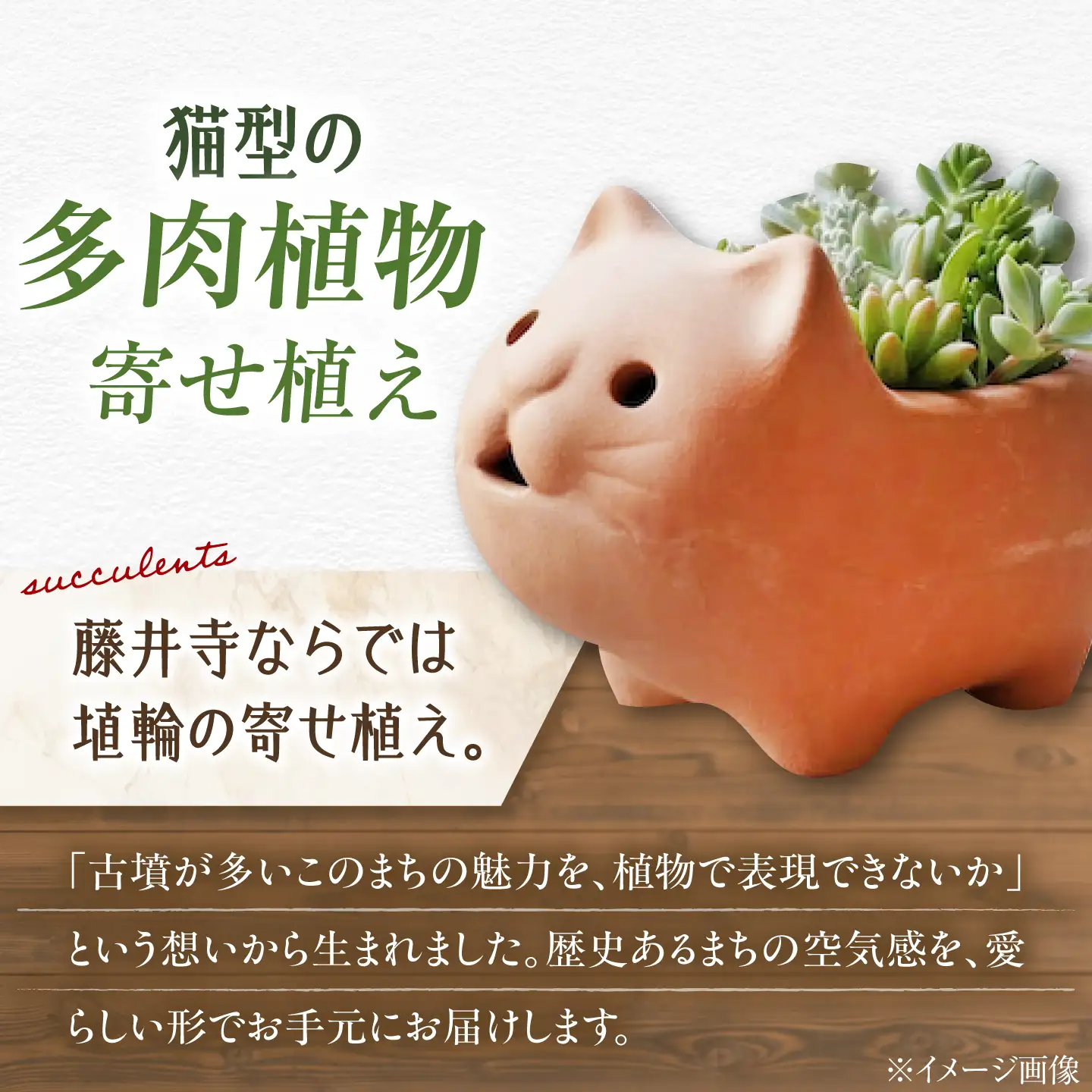 多肉植物 寄せ植え ねこ型 多肉植物 BLAW007