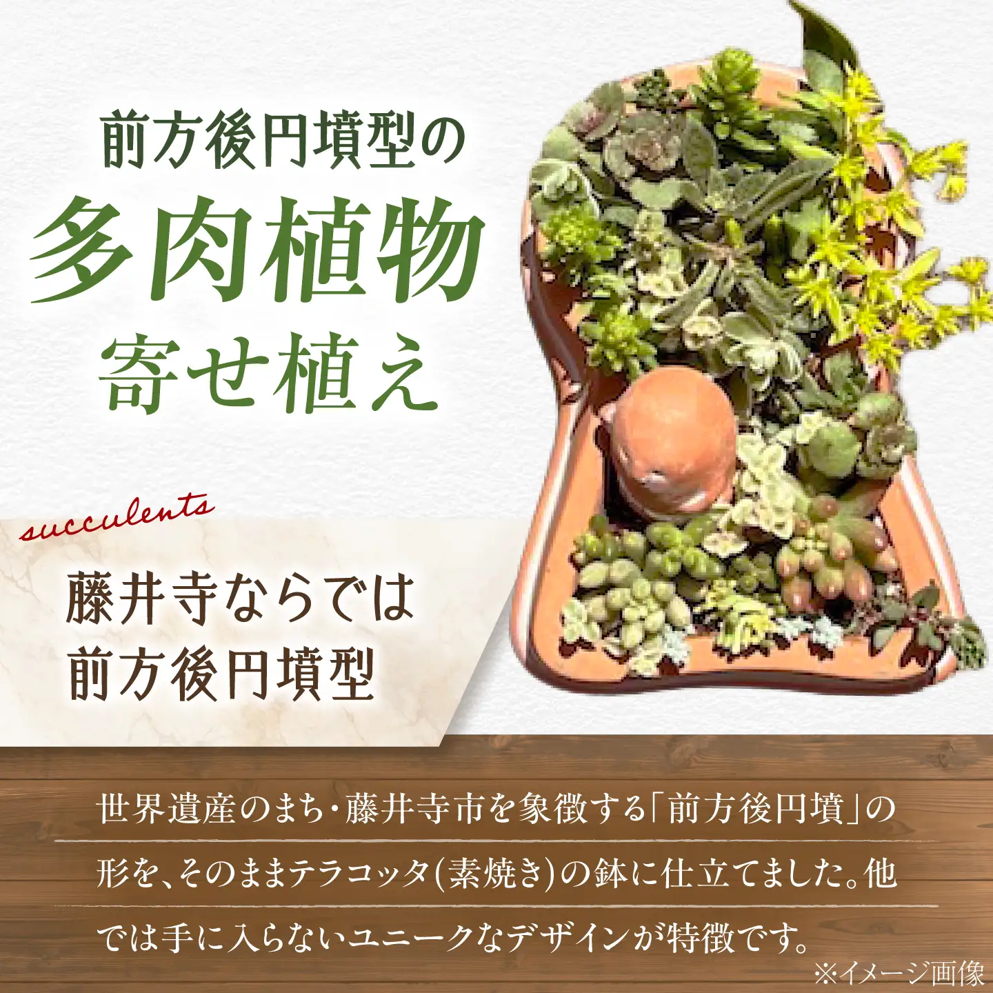 多肉植物 寄せ植え 前方後円墳型 多肉植物 BLAW008