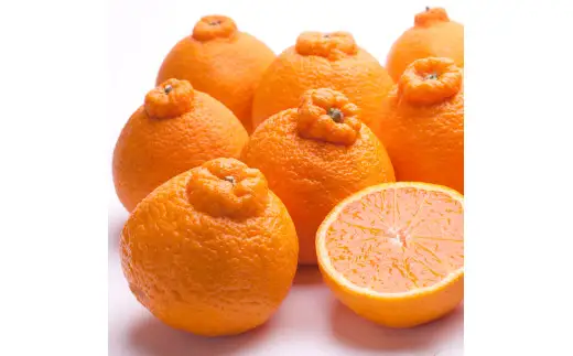 不知火 厳選 5kg+250g（痛み補償分）/ みかん しらぬい 光センサー 選別 デコポン 柑橘 晩柑 和歌山 甘い 18000円 / ※2027年2月上旬～4月上旬ごろに順次発送予定 ※北海道・沖縄・離島への配送不可【ikd010-p-5E】