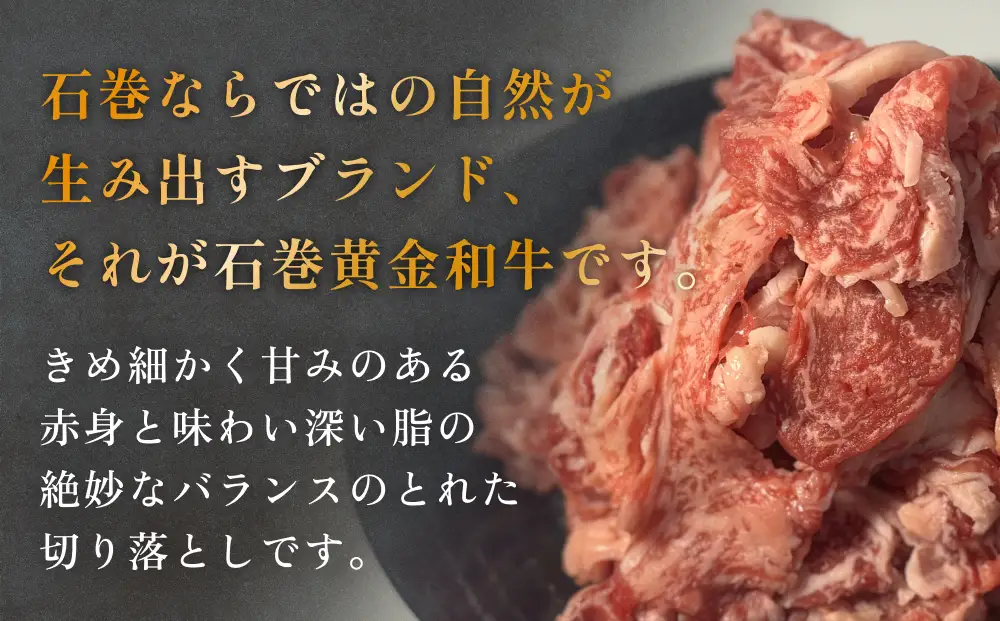 牛肉 石巻 黄金 和牛 切り落とし 300g×3P 赤身 国産 美味しい 使いやすい 小分け 肉　お肉 細切れ おかず すき焼き 焼肉 冷凍