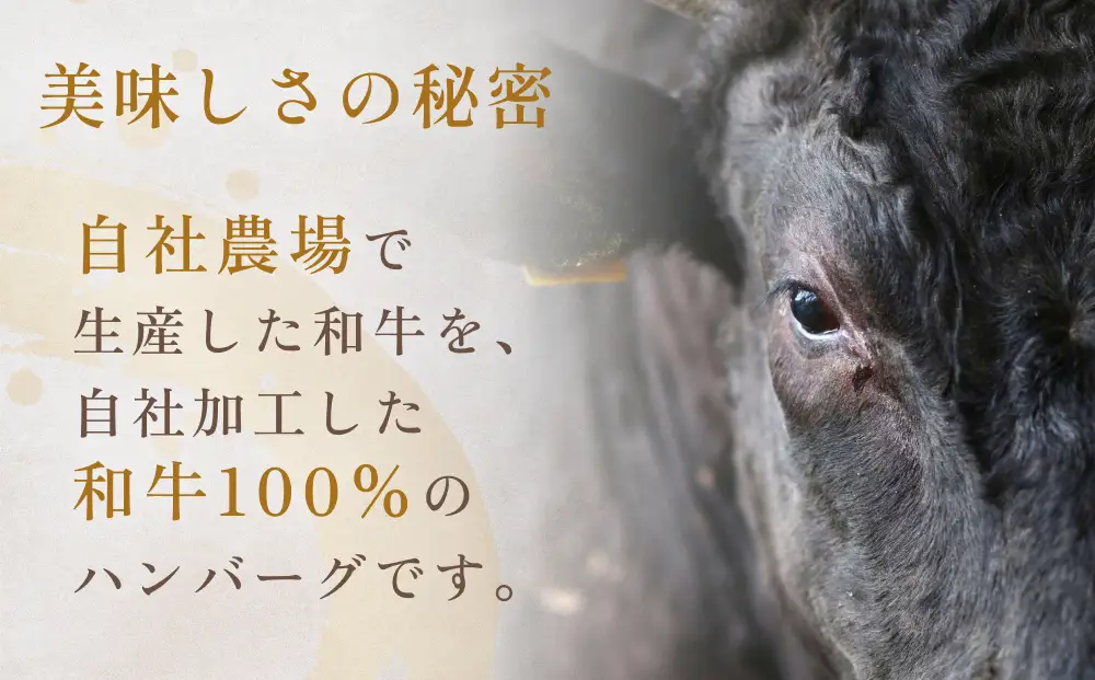 黒毛和牛 三陸金華和牛 南部の赤牛 伊達の赤 和牛ハンバーグ 3種 各200g×3 食べ比べ セット　お肉 ひき肉 挽肉 おかず 冷凍